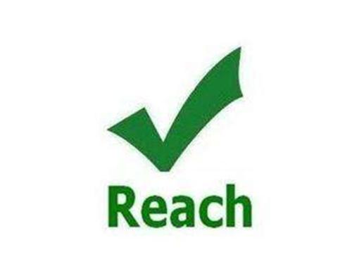 【reach】reach检测的主要内容